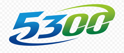 5300